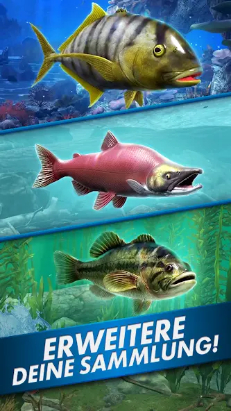 Angelszene mit Lachs unter Wasser in Fishing Blitz