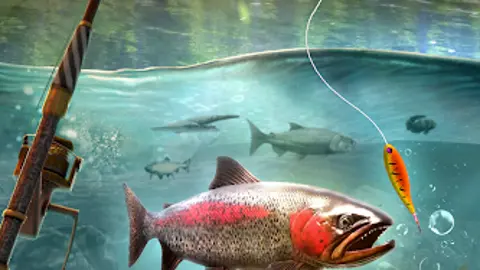 Fishing Blitz! – Coverbild